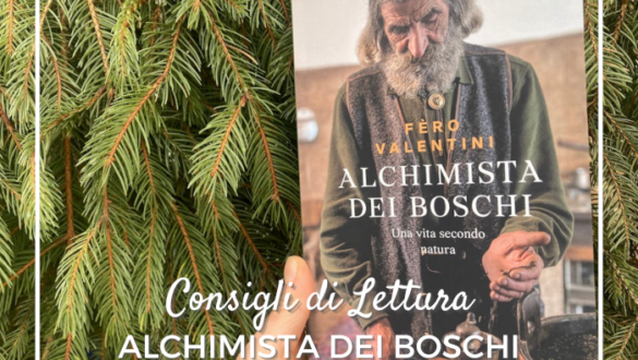 L'Alchimista dei Boschi