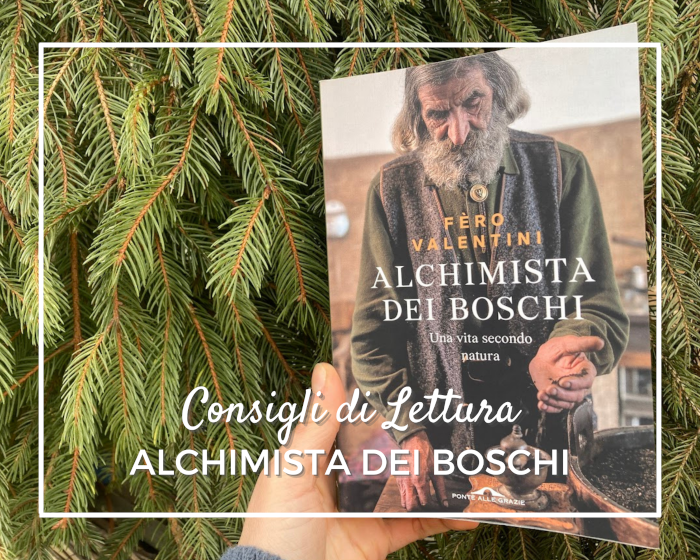 L'Alchimista dei Boschi