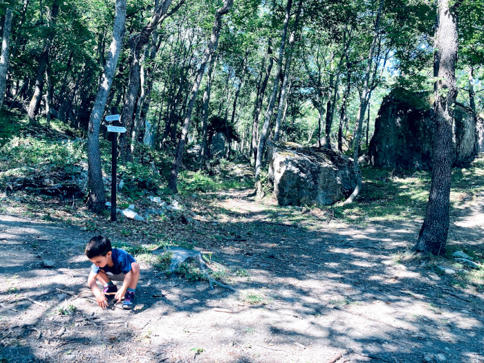 Gioco libero in Natura è apprendimento