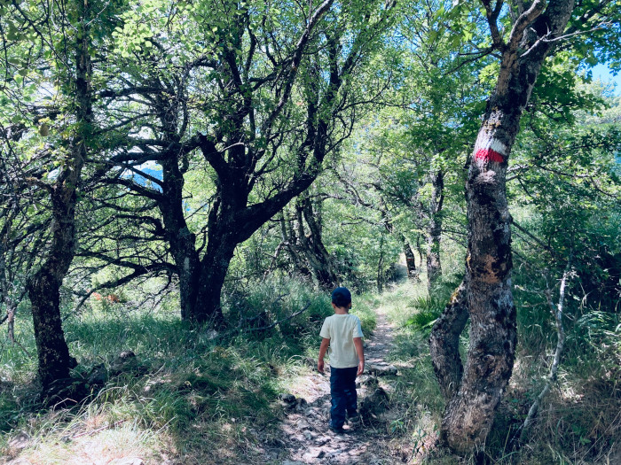 Scegliere sentieri adatti ai bambini