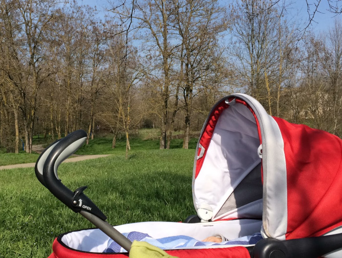 Passeggiate in Natura con neonati