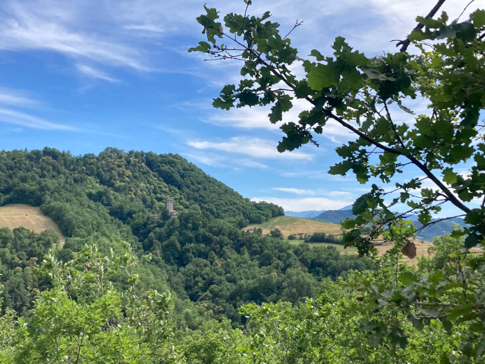 Panorama su Castellino delle Formiche