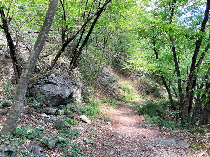 Sentiero del Rio Tregenda ai Sassi di Roccamalatina