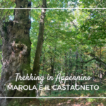 Passeggiate a Marola per famiglie