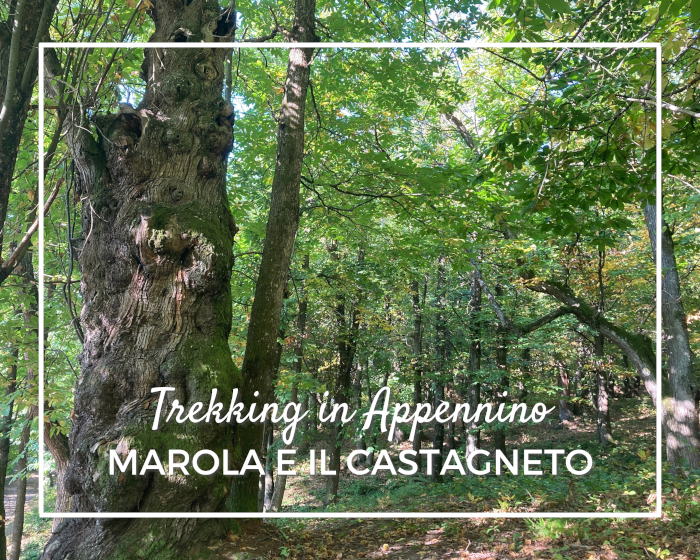 Passeggiate a Marola per famiglie