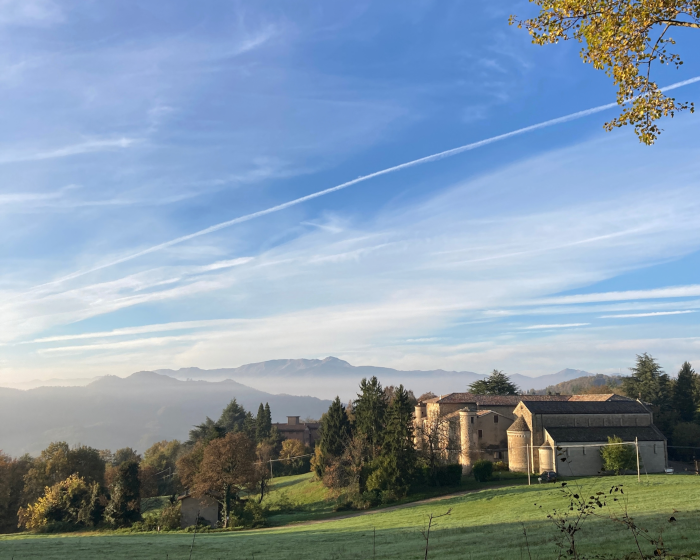 Passeggiate a Marola nel castagneto